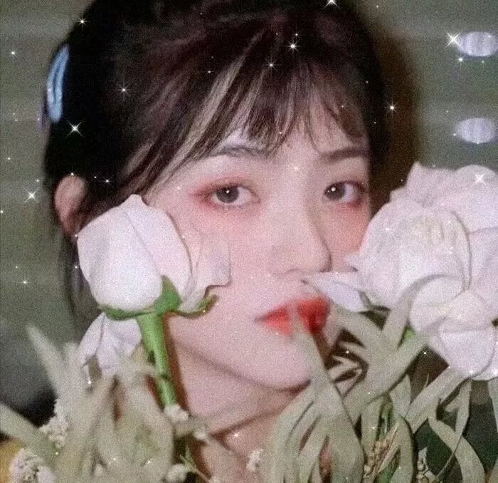 拳精