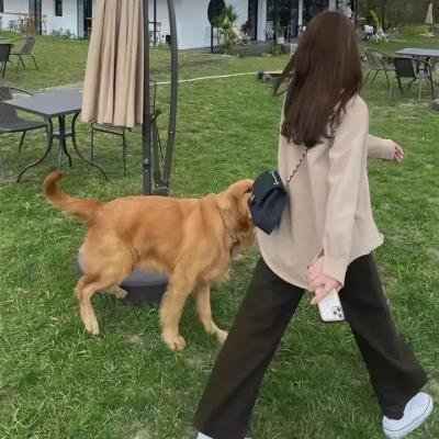 串珠